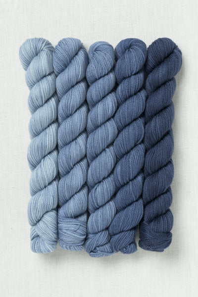 Sweet Georgia Party of Five Tough Love Sock Mini Skein Set Voyage