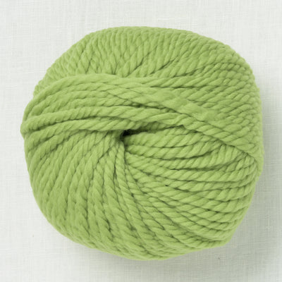 Wooladdicts Fire 117 Kale