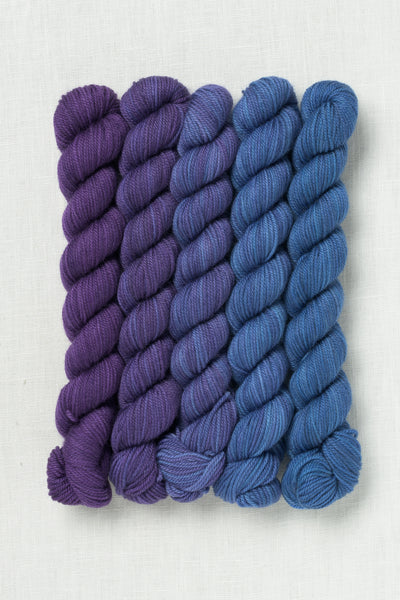 Sweet Georgia Party of Five Tough Love Sock Mini Skein Set Whisper