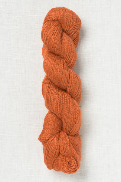 Amano Ayni 5034 Golden Sunflower