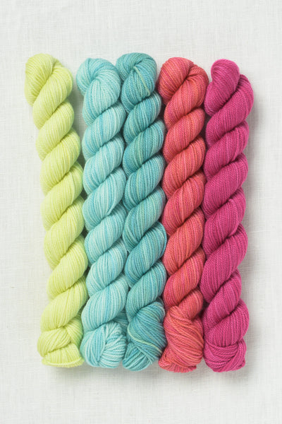 Sweet Georgia Party of Five Tough Love Sock Mini Skein Set Candy Shop