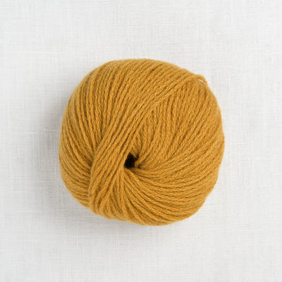 Pascuali Cashmere 6/28 22 Curry