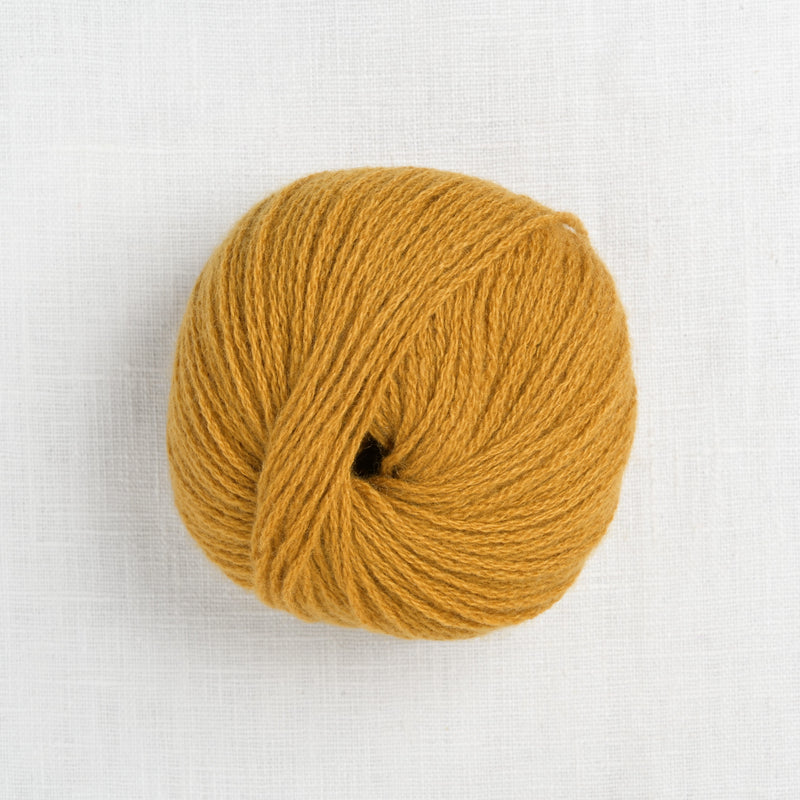 Pascuali Cashmere 6/28 22 Curry