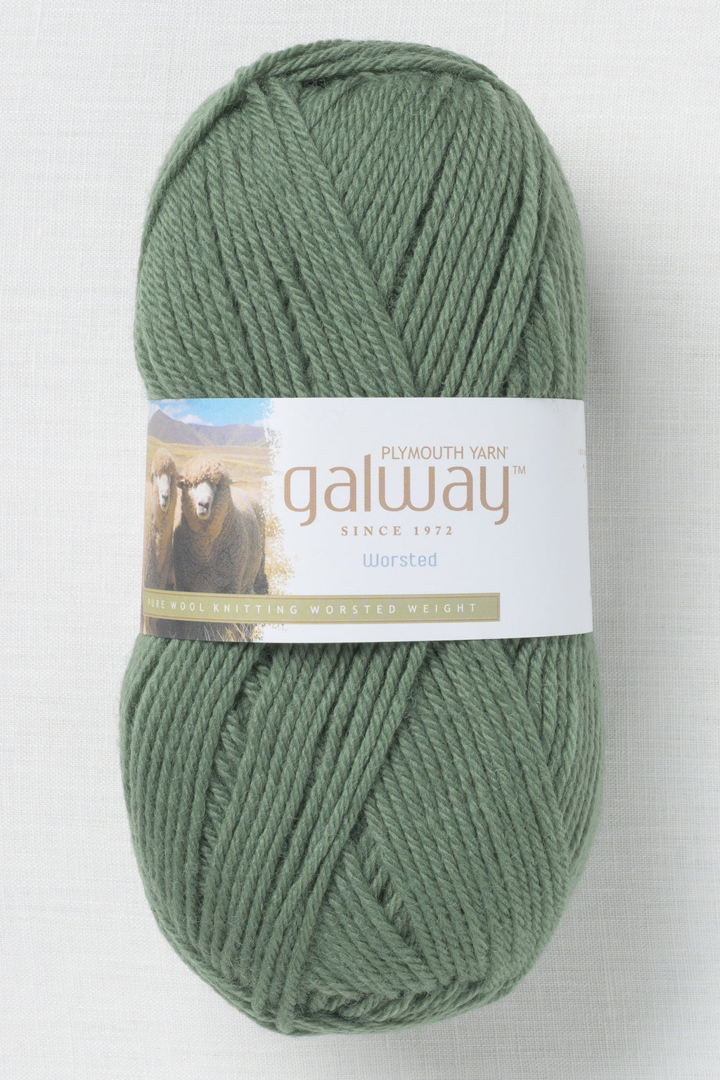 Plymouth Galway Worsted 217 Thyme
