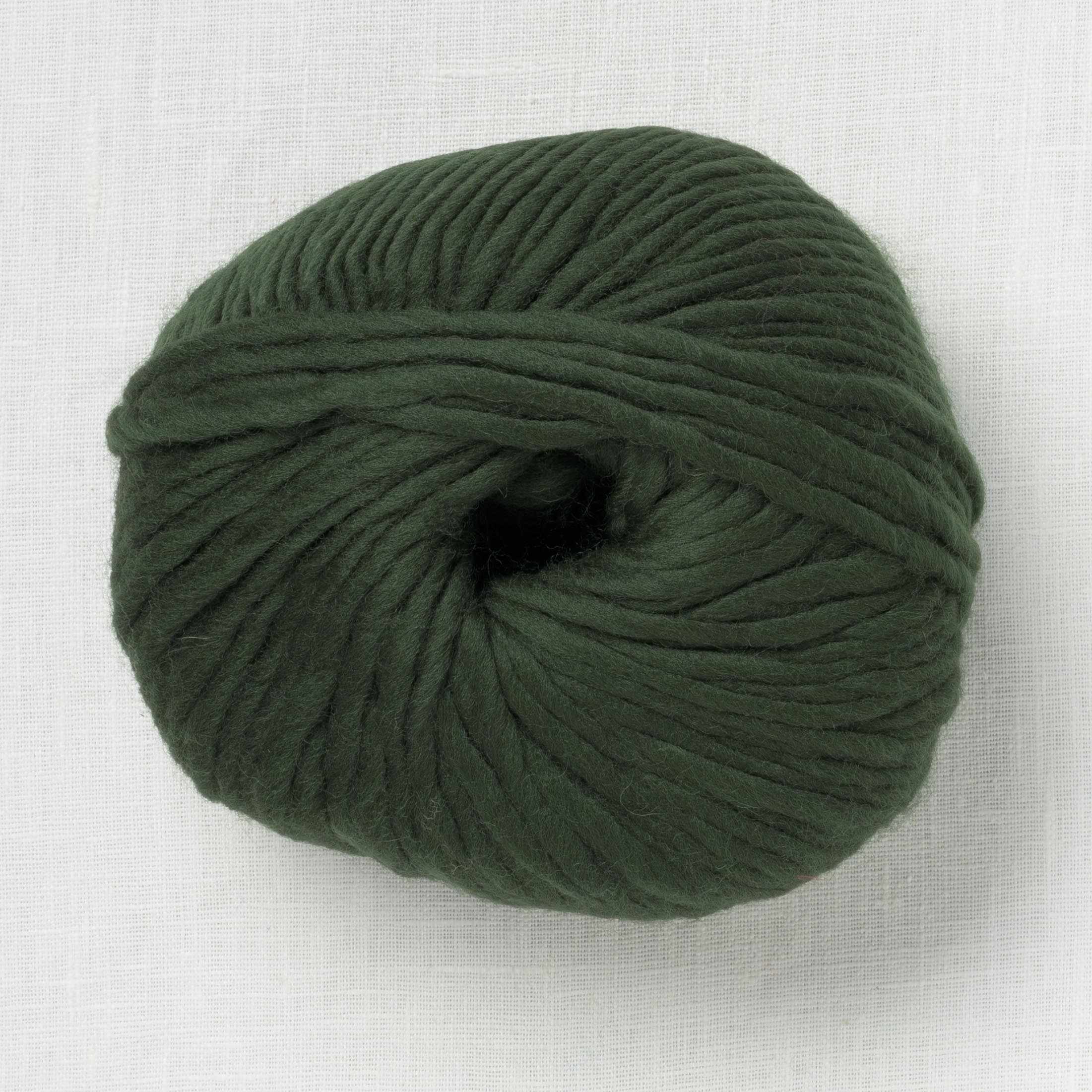 Wool and the Gang Lil' Crazy Sexy Wool Heritage Green – Wool and Company