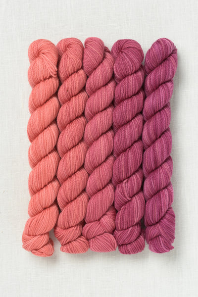 Sweet Georgia Party of Five Tough Love Sock Mini Skein Set Bloom & Blossom