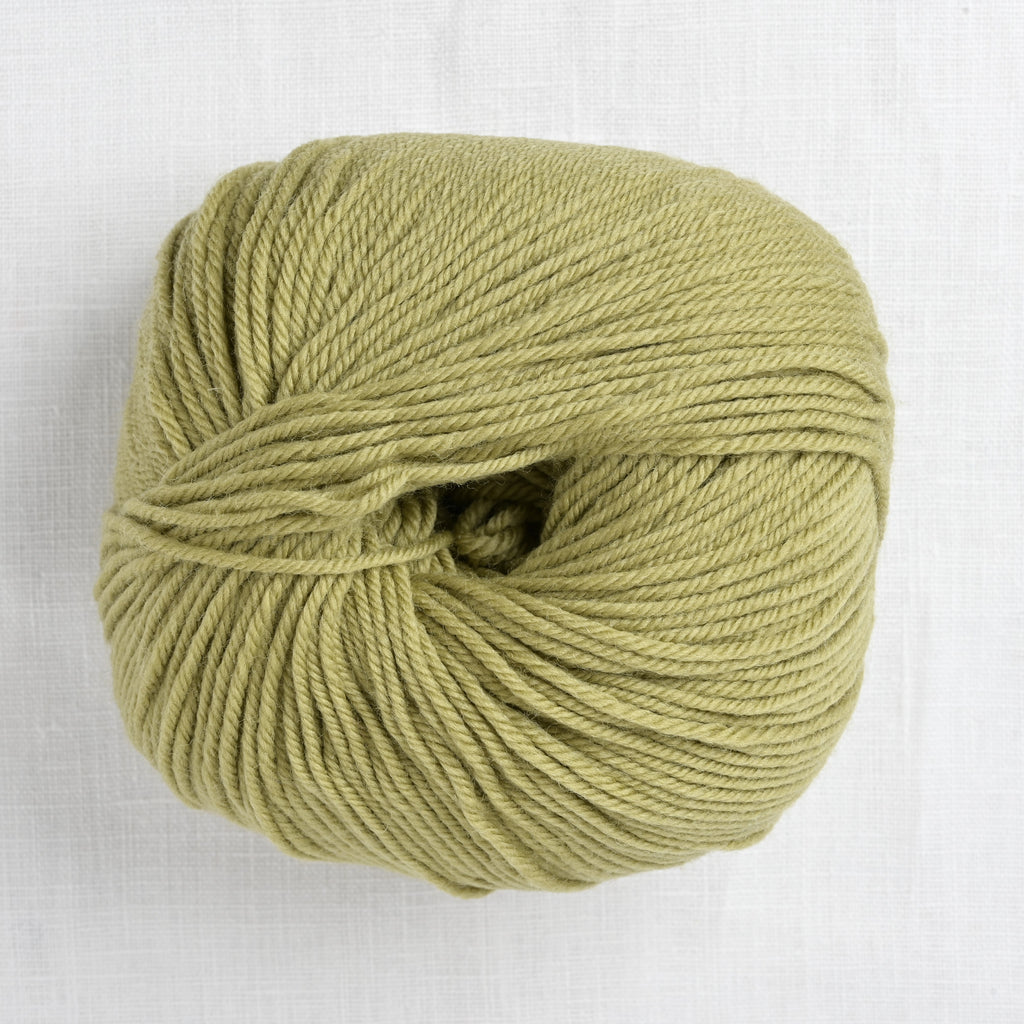 Cascade 220 Superwash 209 Cedar