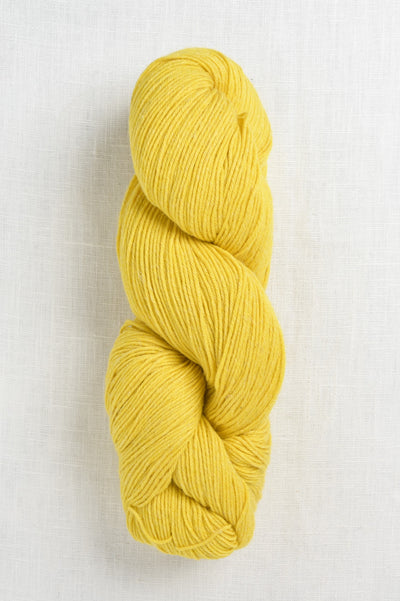 Amano Chaski 1716 Tulip