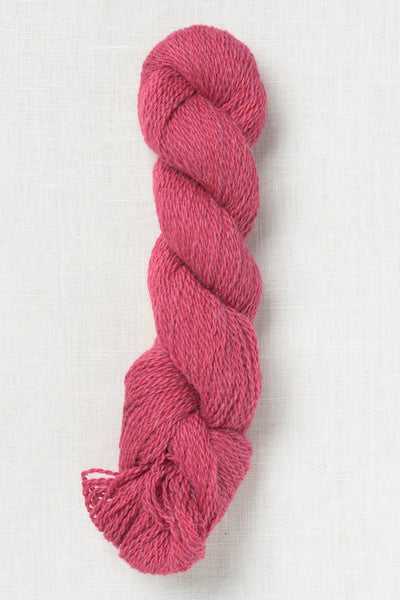 Amano Puna Light 2812 Cariberry