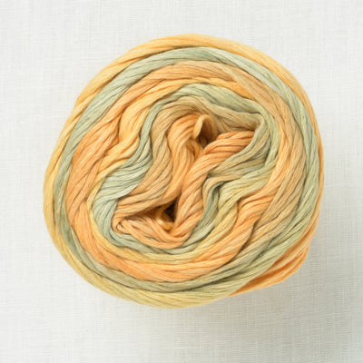 Juniper Moon Farm Cirrus Rainbow 302 Gold Rush