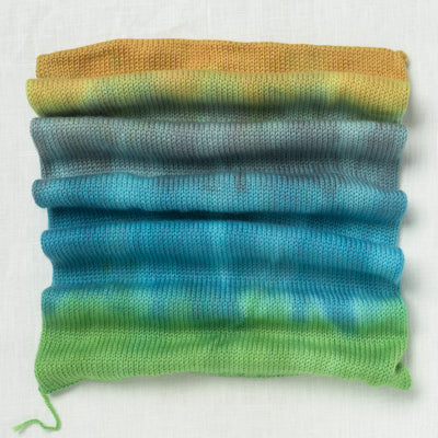 Sweet Georgia Sock Yarn Blank Carrot Thief