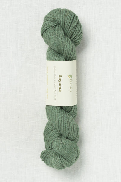 Pascuali Sayama 315 Aloe Vera