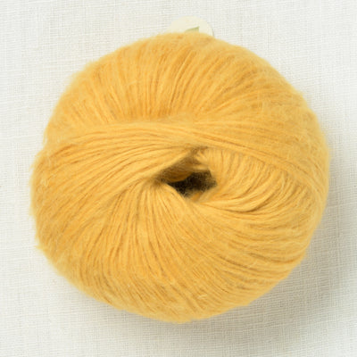 Pascuali Suave 80 Curry