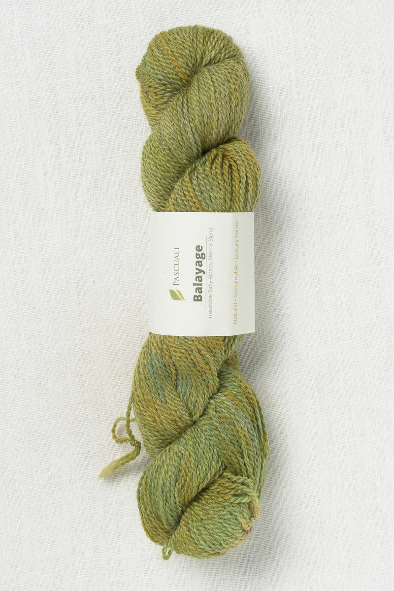 Pascuali Balayage Hand Dye 780 Matcha Noir
