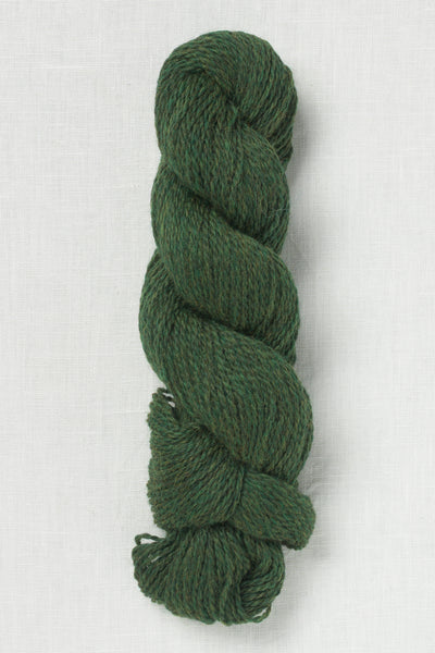 Cascade 220 Sport 2445 Shire