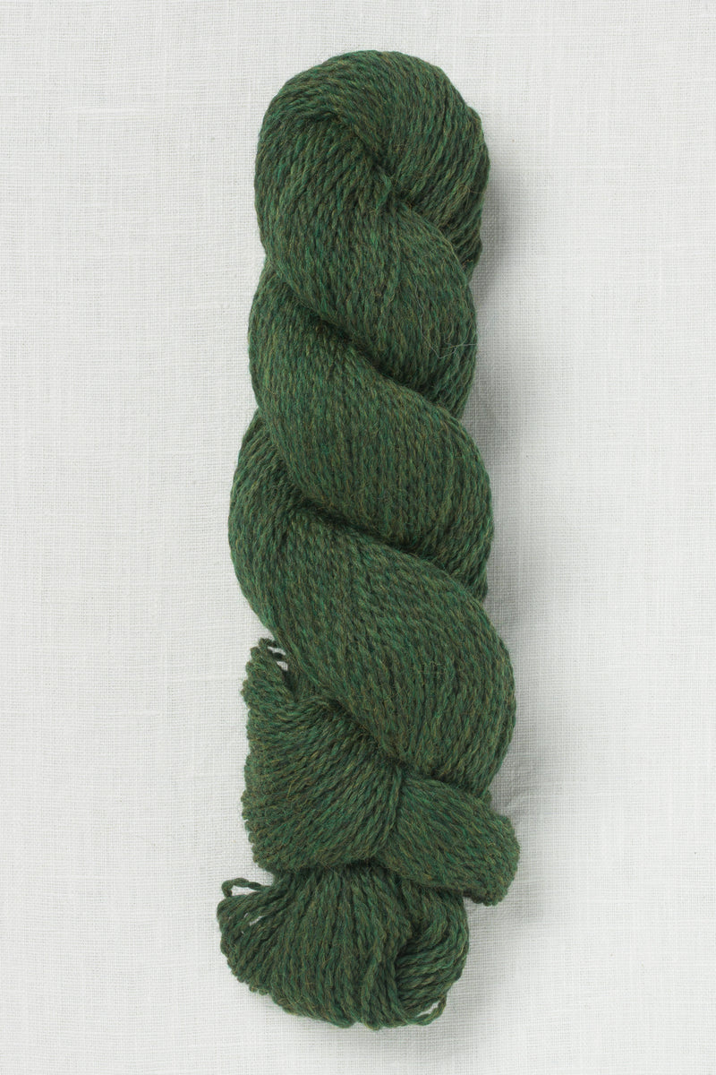 Cascade 220 Sport 2445 Shire