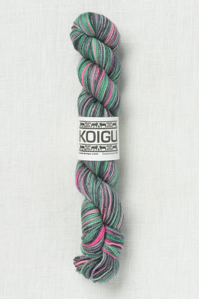 Koigu Painter's Palette Premium Merino KPPPM P040