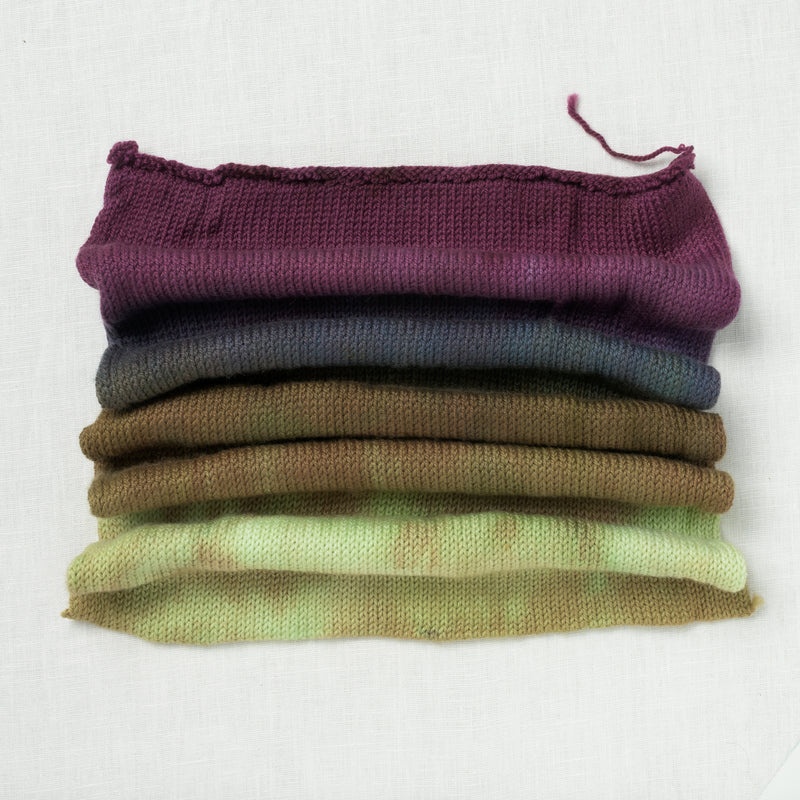 Sweet Georgia Sock Yarn Blank Trail Runner