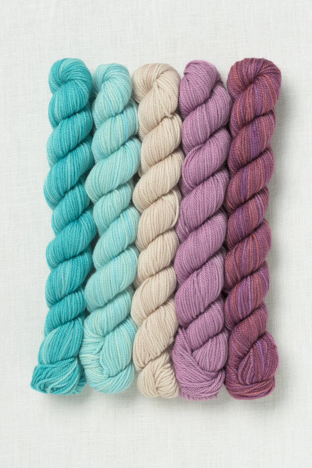 Sweet Georgia Party of Five Tough Love Sock Mini Skein Set Frozen Blueberry