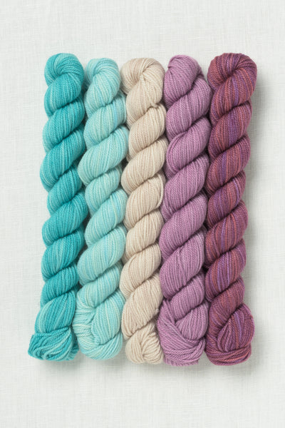 Sweet Georgia Party of Five Tough Love Sock Mini Skein Set Frozen Blueberry