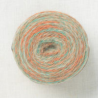 The Fibre Company Transitions Stratum Shift