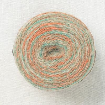 The Fibre Company Transitions Stratum Shift