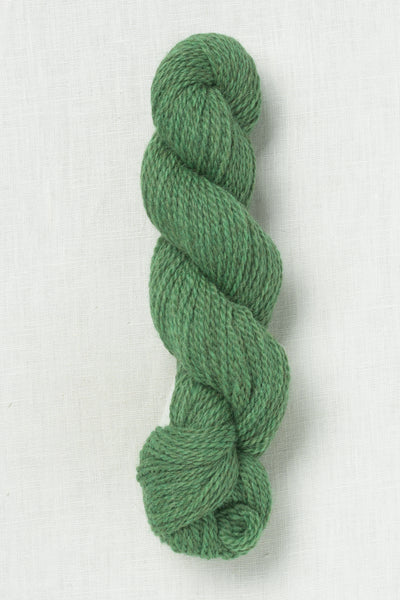 Quince & Co. Owl 311 Cilantro