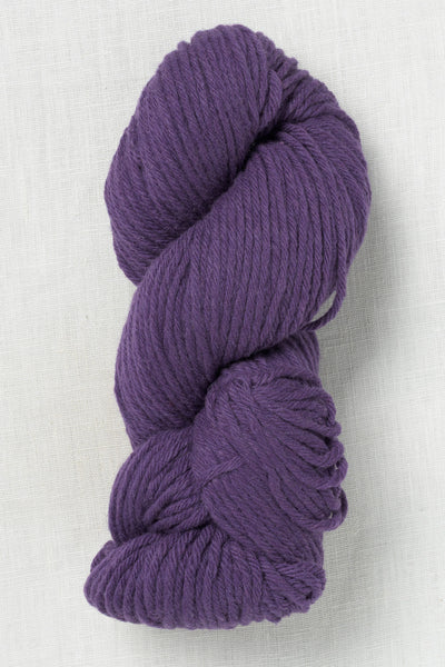 Juniper Moon Farm La Pampa 113 Eggplant