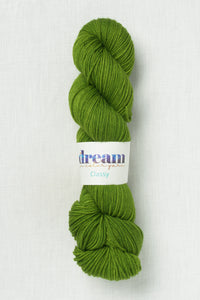 Dream in Color Classy Joshua Tree