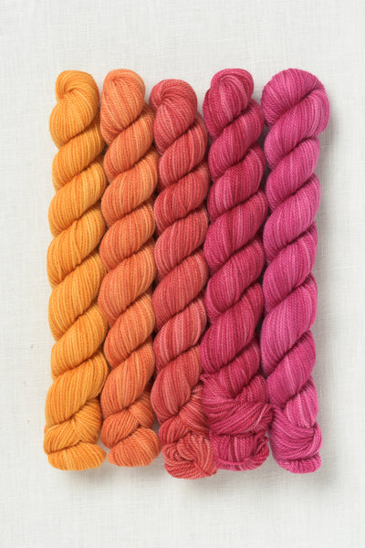 Sweet Georgia Party of Five Tough Love Sock Mini Skein Set Fruit Salad