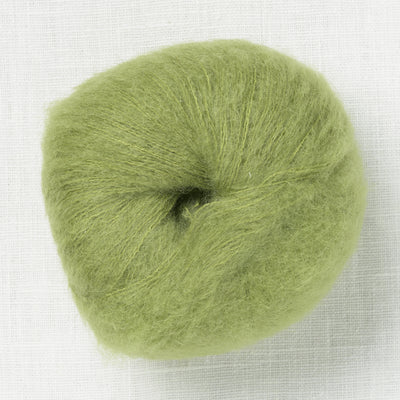 Amano Uma 1925 Andean Sage