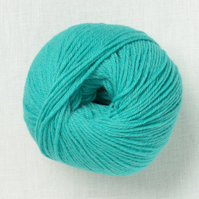 Ella Rae Superwash Classic Wool 1015 Tame Teal