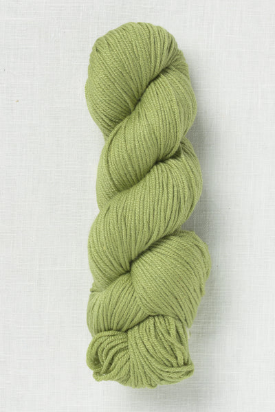 Cascade MeriSeta 9 Fern