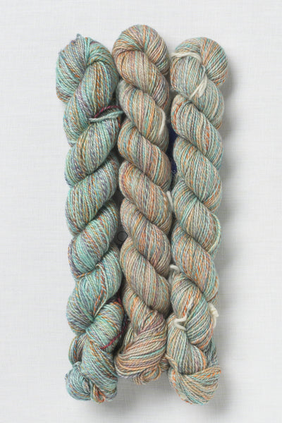 Malabrigo Torzal 274 Amphibian