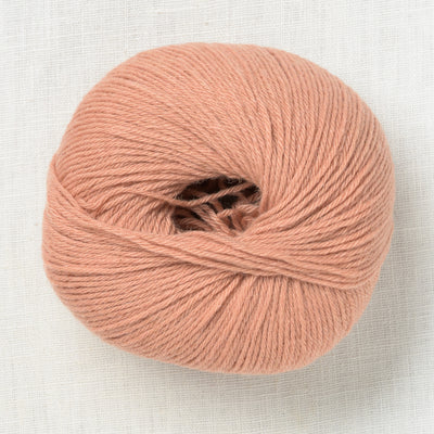 mYak Baby Camel Desert Rose