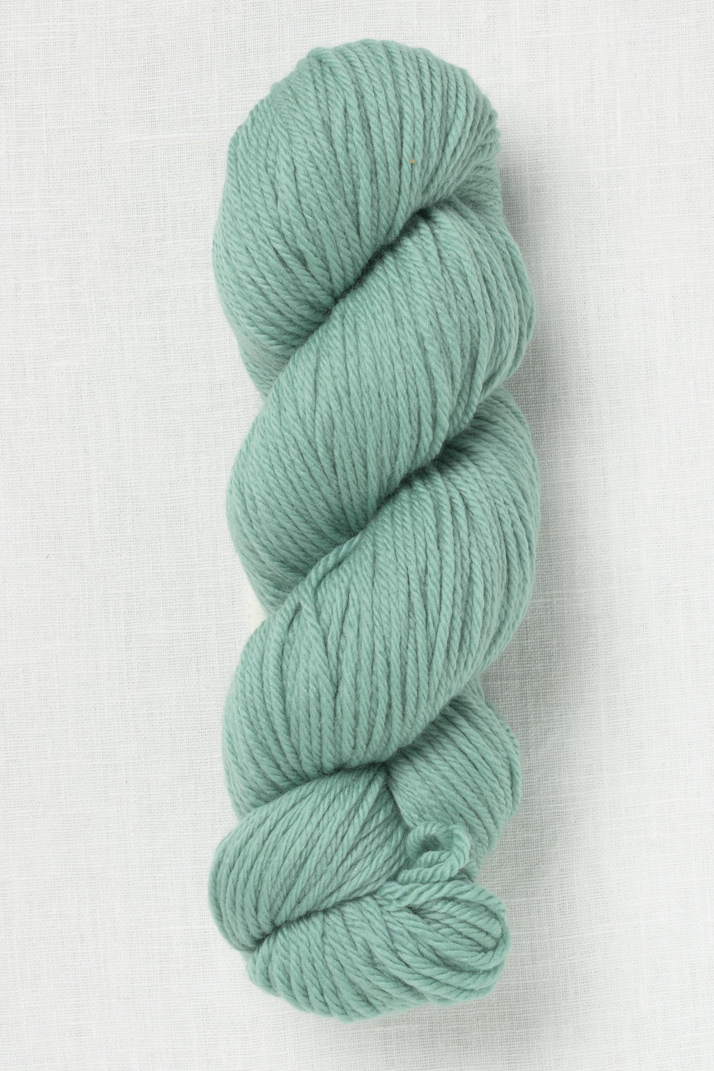 Cascade 220 Superwash Aran 409 Lily Pad