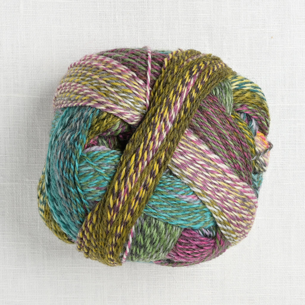 Schoppel Zauberball Crazy 2528 Drachenauge – Wool and Company