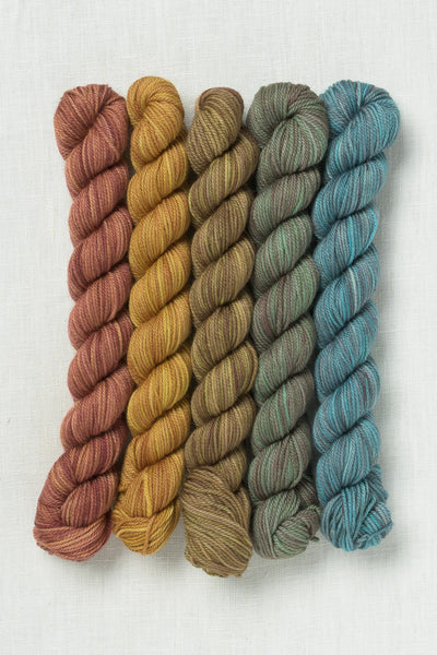 Sweet Georgia Party of Five Tough Love Sock Mini Skein Set Blazing Trails