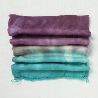 Sweet Georgia Sock Yarn Blank Frozen Blueberry