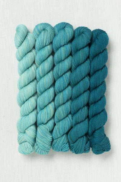 Sweet Georgia Party of Five Tough Love Sock Mini Skein Set Swell