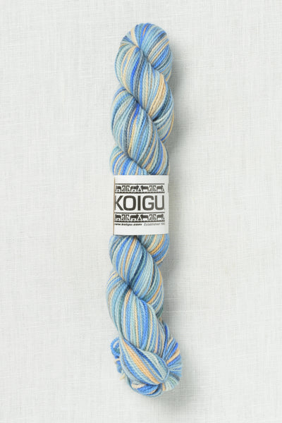 Koigu Painter's Palette Premium Merino KPPPM P045