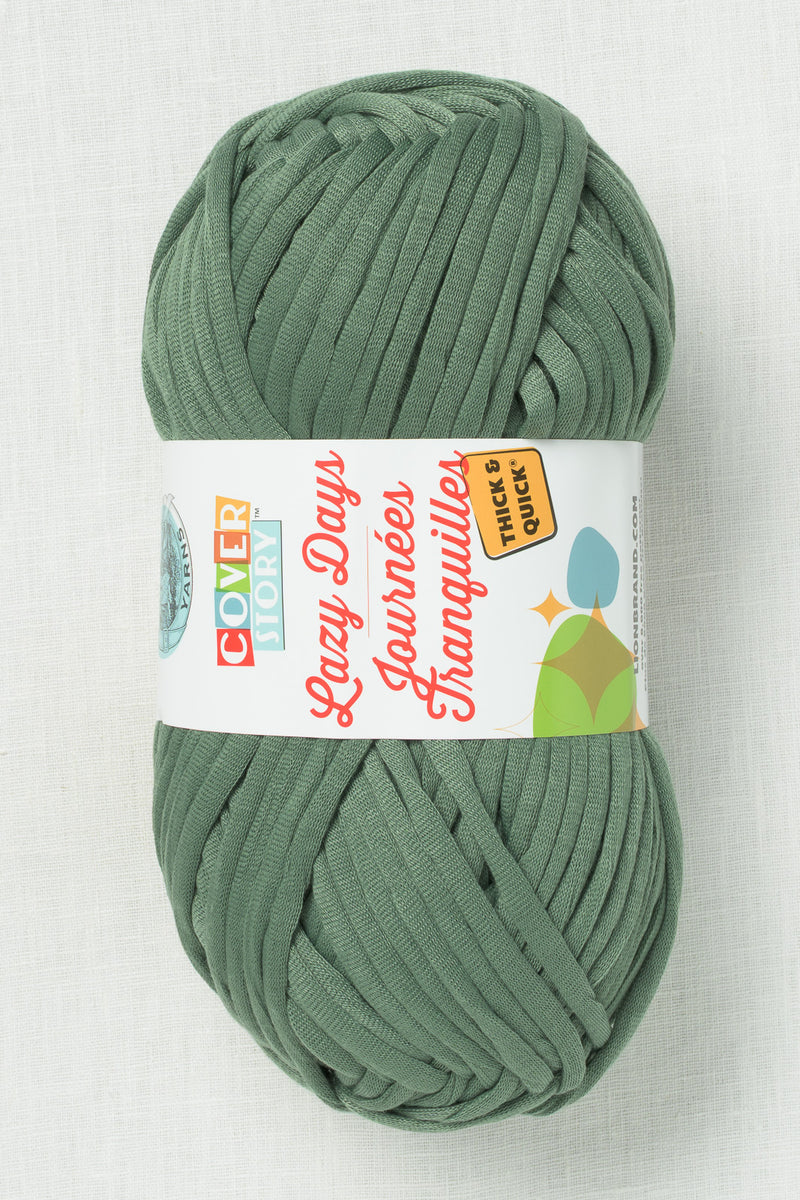 Lion Brand Cover Story Lazy Days Thick & Quick 174L Evergreen