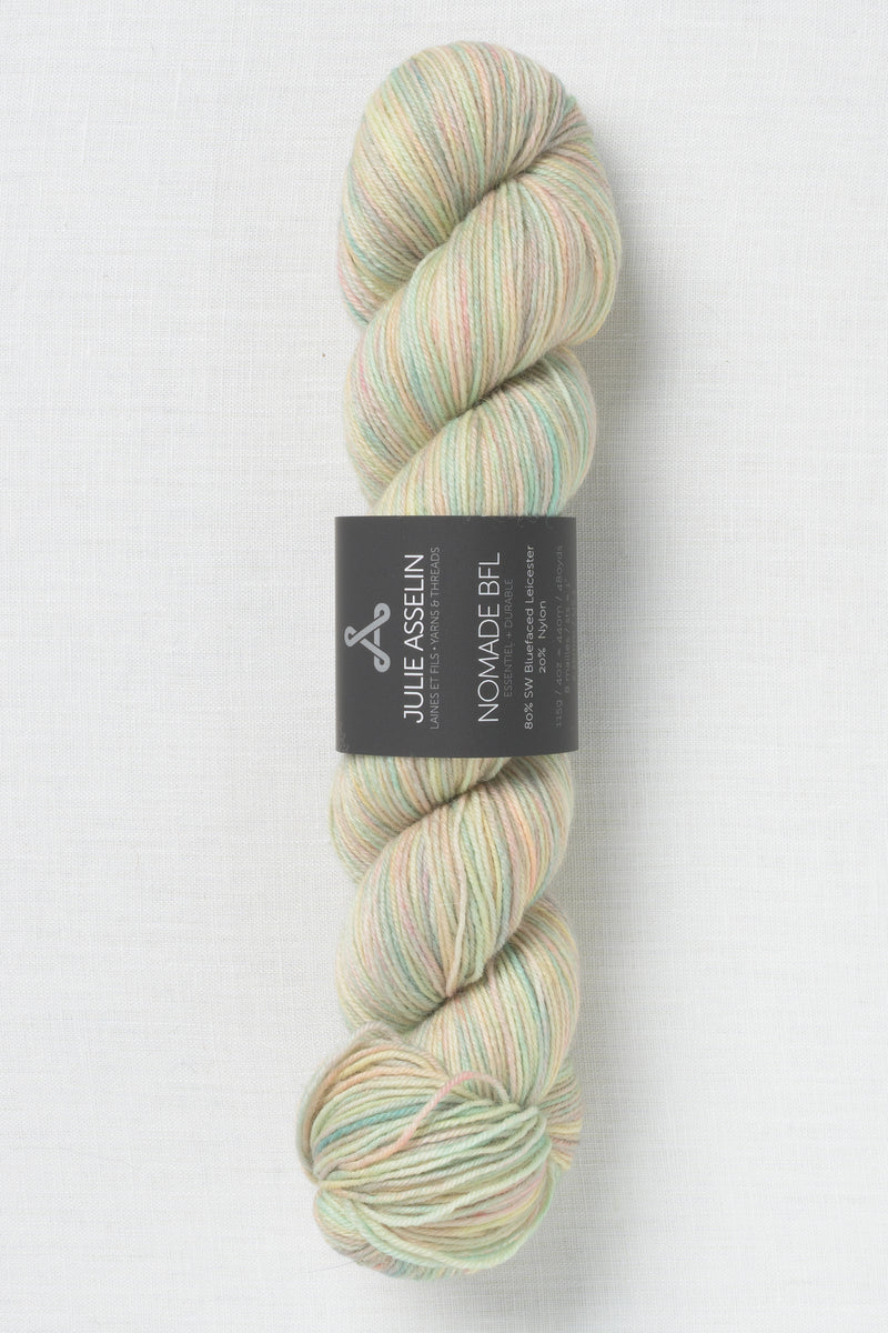 Julie Asselin Nomade BFL Sabine
