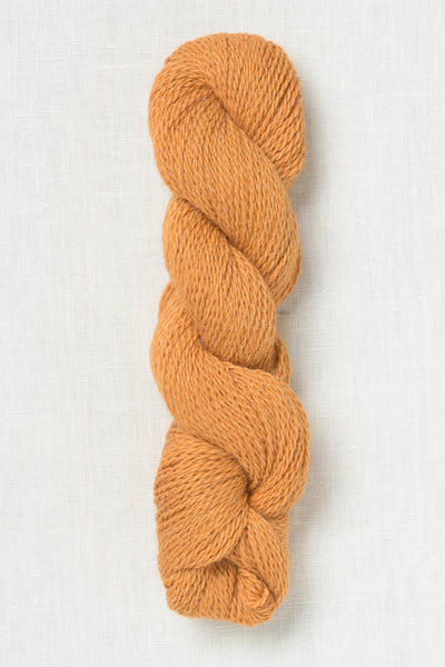 Amano Puna Light 2805 Mango Madness