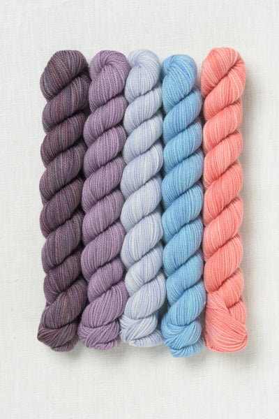 Sweet Georgia Party of Five Tough Love Sock Mini Skein Set Tea Time