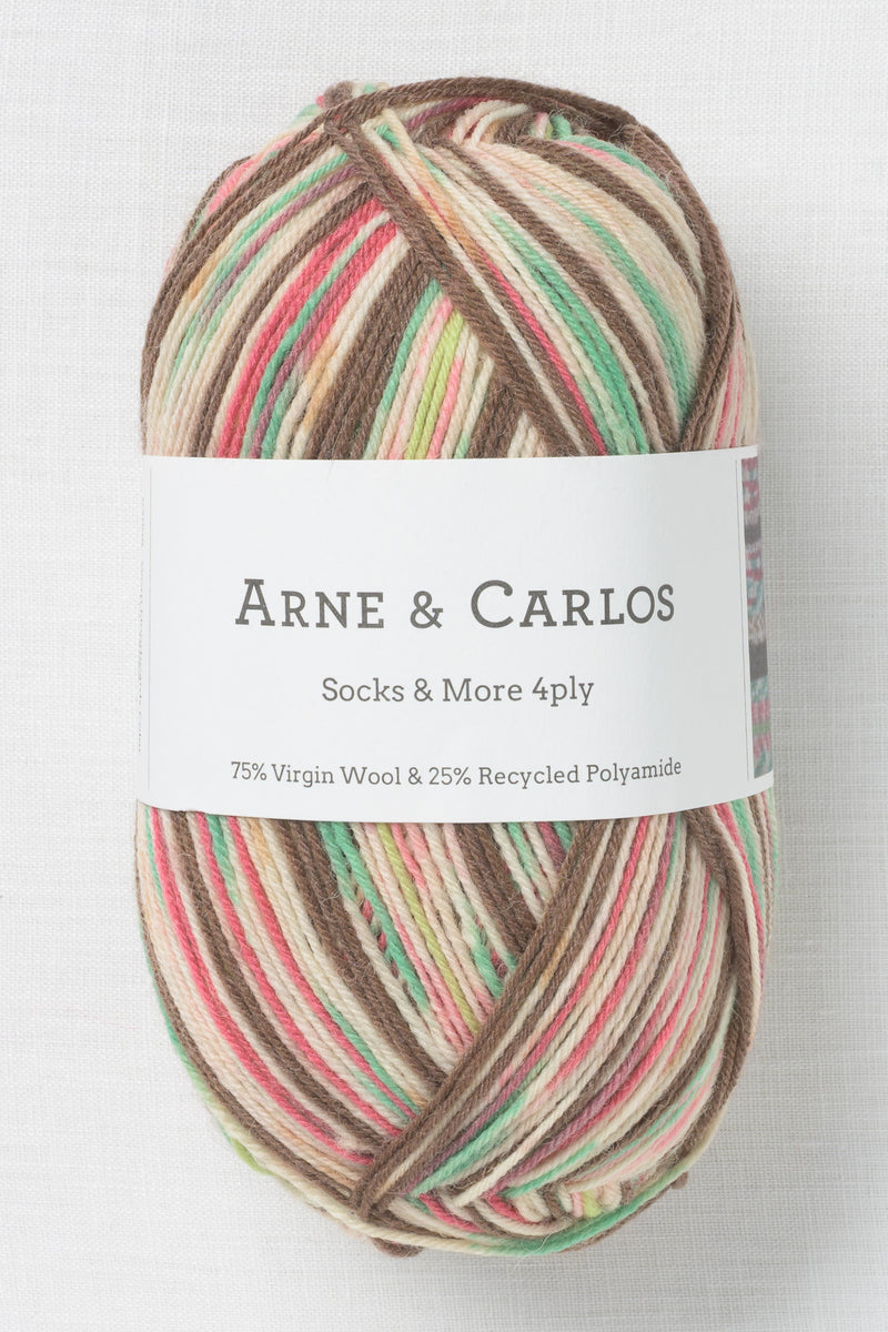 Arne & Carlos Socks & More 4ply Worn Floorboards Color