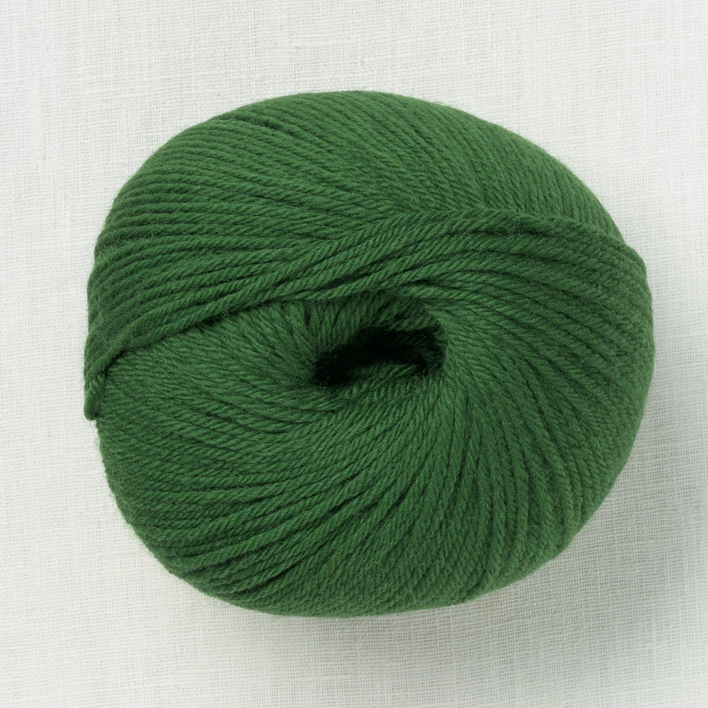 Ella Rae Superwash Classic Wool 1012 Pine Needle Green