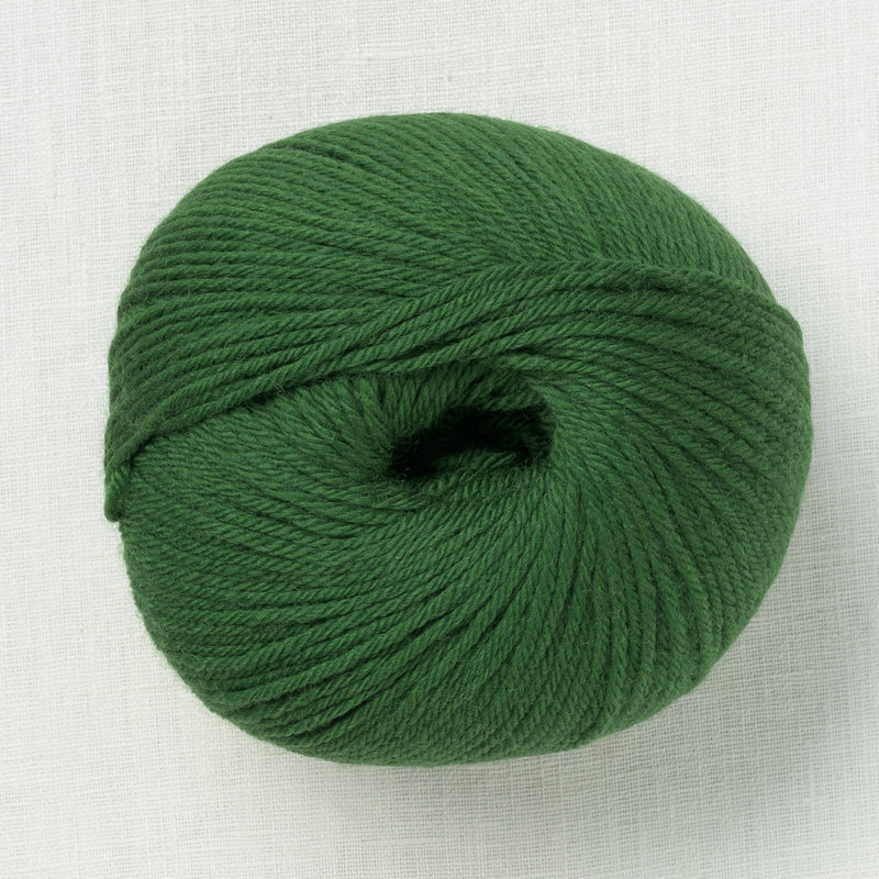 Ella Rae Superwash Classic Wool 1012 Pine Needle Green