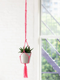 Knotted Plant Hanger