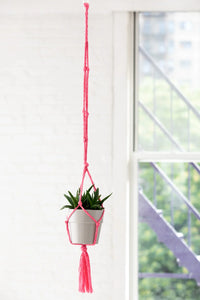 Knotted Plant Hanger
